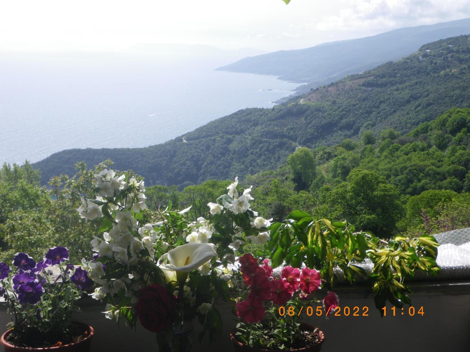 Villa Georgie Цагкарада Екстер'єр фото