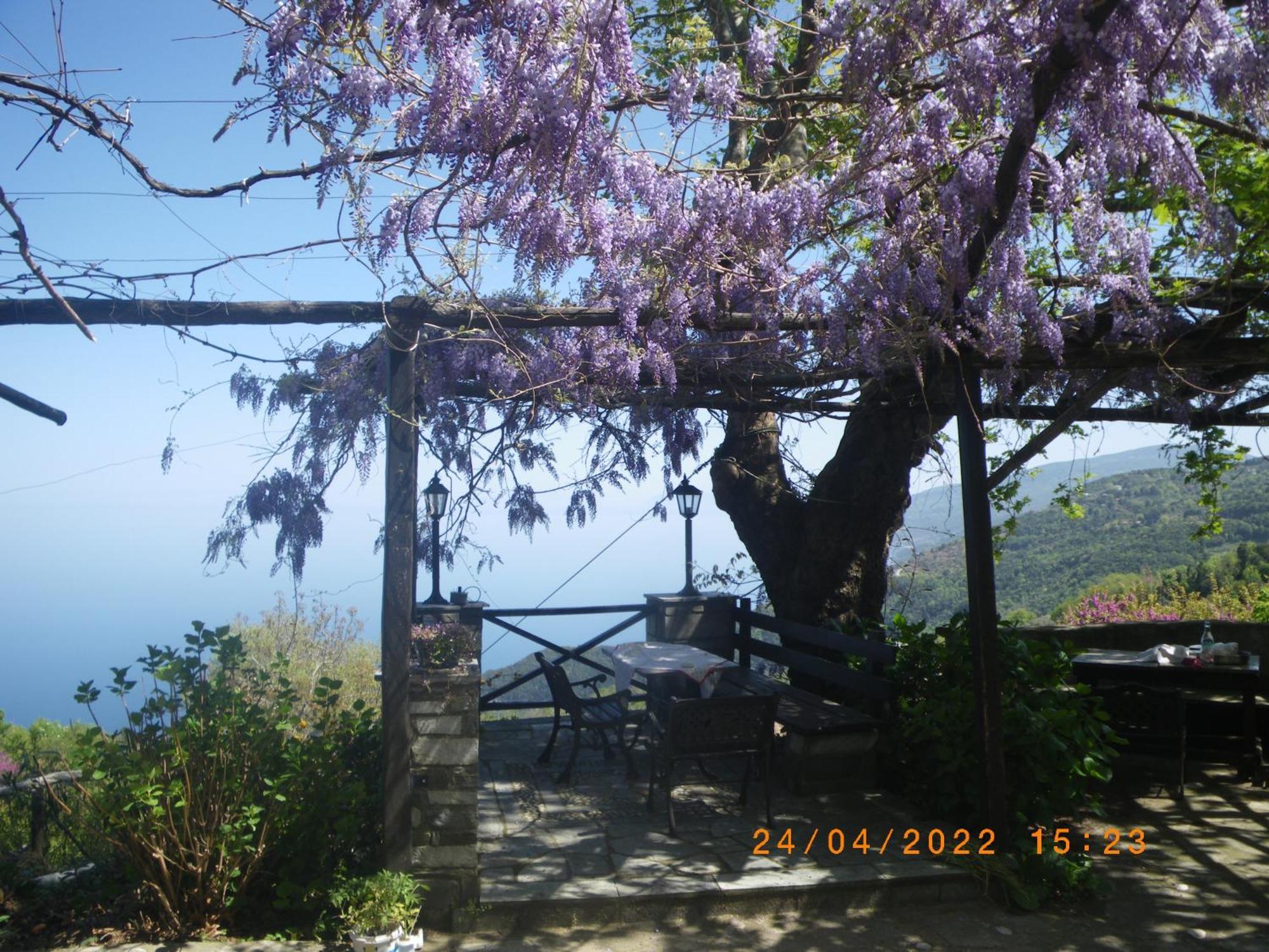 Villa Georgie Цагкарада Екстер'єр фото