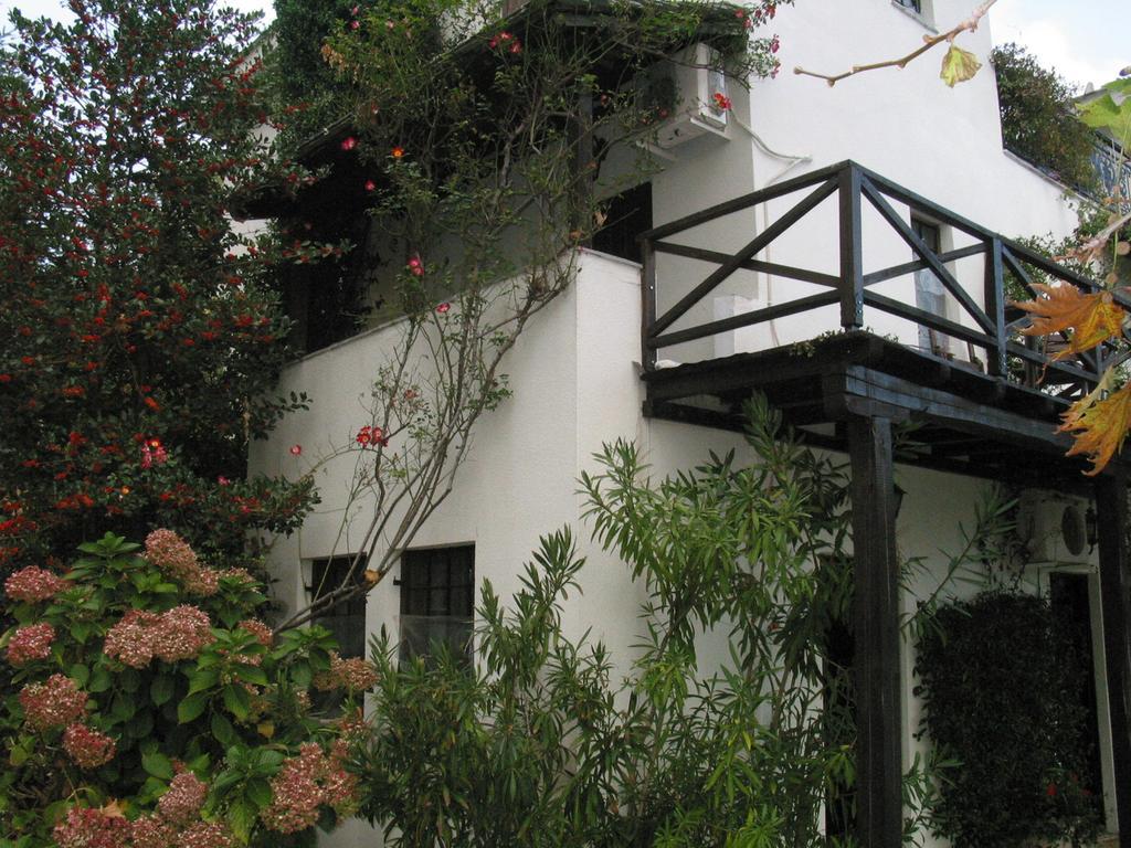 Villa Georgie Цагкарада Екстер'єр фото