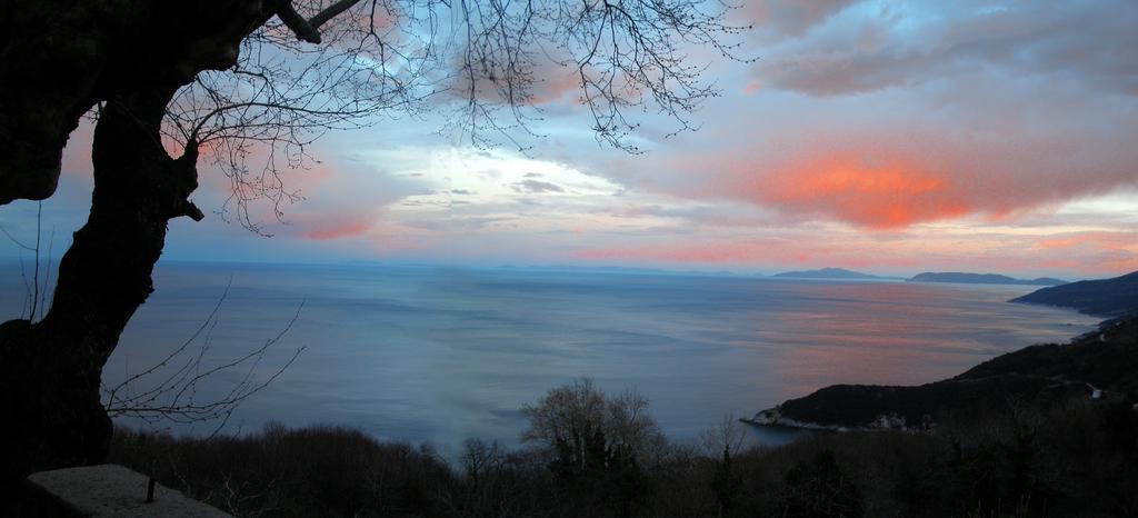 Villa Georgie Цагкарада Екстер'єр фото