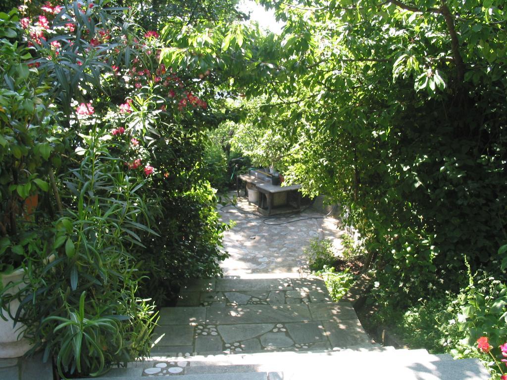 Villa Georgie Цагкарада Екстер'єр фото
