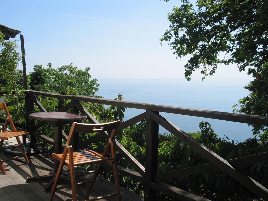 Villa Georgie Цагкарада Екстер'єр фото