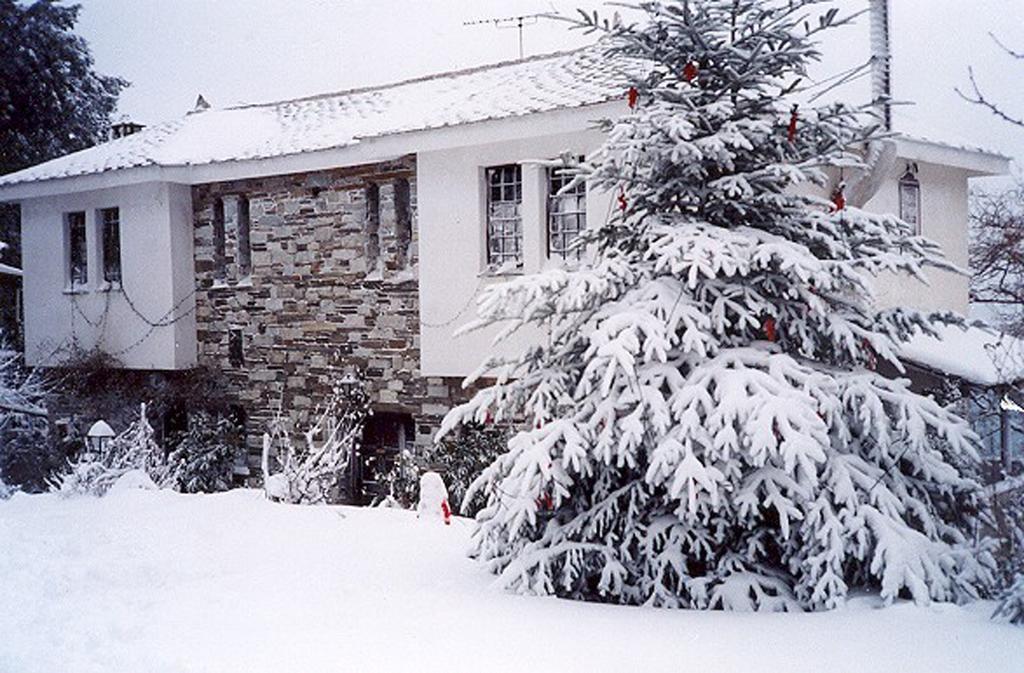 Villa Georgie Цагкарада Екстер'єр фото